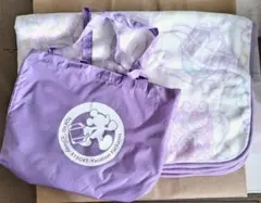 値下げ！未使用　バケーションパッケージTDR柄 ブランケット　ミッキー柄バッグ入