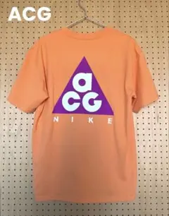【新品】NIKE ACG マックス90Tシャツ　Lサイズ　ビックロゴのサムネイル