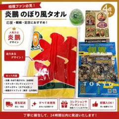 炎鵬 大相撲 のぼり風力士タオル 応援うちわ セット 公式 新品未開封 