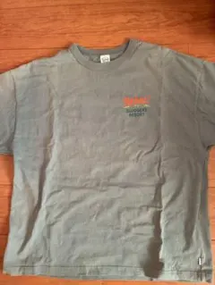 Keboz! スラッガーズリゾート Tシャツ Lグレー