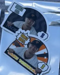 Item thumbnail for item 60f72895-7304-4149-ba27-21b619c75f60