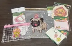 こびとづかん：6点セット