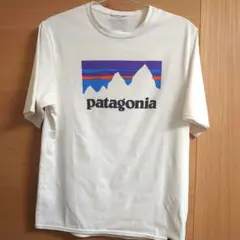 【美品】パタゴニア Tシャツ キャプリーンクールデイリーグラフィック