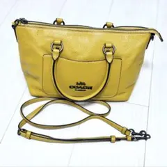 2026年最新】COACH カラー：イエロー系 レディース ハンドバッグの人気