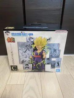 Item thumbnail for item 8d240505-5e00-45f9-b403-afb9aba3b8f8