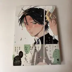 キューピッドに落雷　追撃　鈴丸みんた　新装版　BL漫画