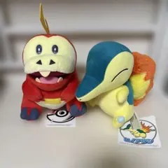 ポケモンセンター ぬいぐるみ ホゲータ ヒノアラシ 2点セット　まとめ売り