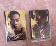 THE RAMPAGE BOT ウエハース カード トレカ セット