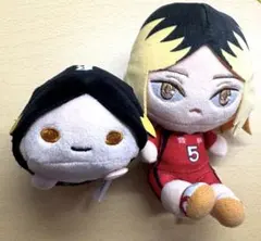 ハイキュー ぬいぐるみ 孤爪研磨