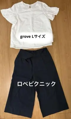 ロペピクニック