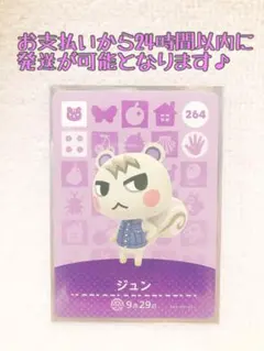 未使用.あつ森amiiboカード.ジュン