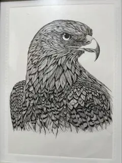 一点物 手描きアート 鷲 ペン画 リアル 一点物 手描きアート 鷲 ペン画 リアル - メルカリ