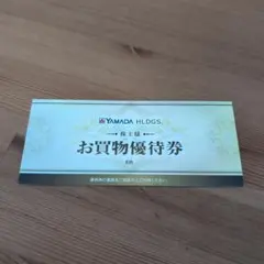 YAMADA HLDGS. お買物優待券 3000円