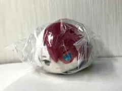 轟焦凍 もちマス 僕のヒーローアカデミア 僕のヒーローアカデミア ヒロアカ もちもちマスコット もちマス 轟焦凍
