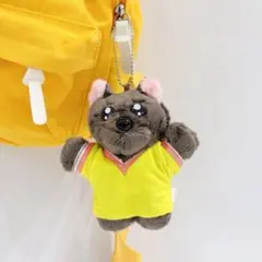 BOYNEXTDOOR プネクド ミョンミョン ジェヒョン キーホルダー