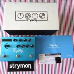 2026年最新】strymon BigSkyの人気アイテム - メルカリ