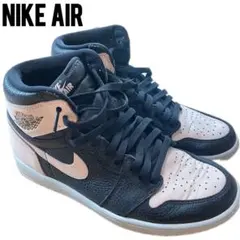Air Jordan 1 Retro High OG Crimson Tint