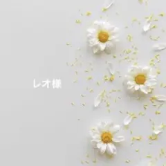 レオ様 リクエスト 3点 まとめ商品