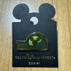 （匿名・即日発送) ディズニー　ピンバッチ