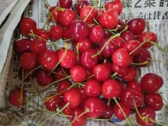 紅てまり 3L 350gと やまがた紅王 3L 350g - メルカリ