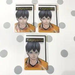 ハイキューファンパーク箔押しクリアカードコレクション