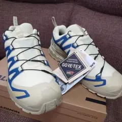 サロモン XA PRO 3D v9 GORE-TEX ゴアテックス GTXのサムネイル