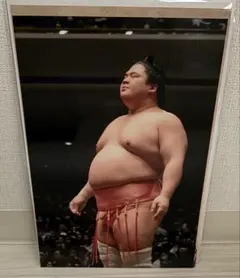 宇良関 写真