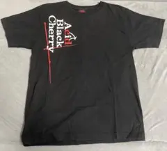 Acid Black Cherry×BREAKERZ Tシャツ リストバンド Acid Black Cherry×BREAKERZ Tシャツ リストバンド 2025年最新