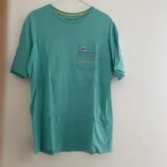 patagonia Tシャツ