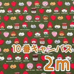 【SALE】10番キャンバス2ｍ　苺にゃんこグリーン　コットンこばやし