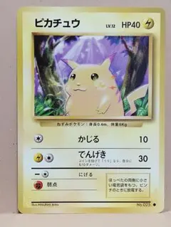 ポケモンさん　24時間以内発送様 リクエスト 6点 まとめ商品