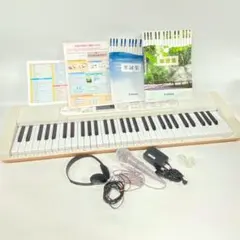 光る鍵盤で楽しく上達！CASIO Casiotone LK-520（中古） 光る鍵盤で楽しく上達！CASIO Casiotone LK-520（中古） 2025年