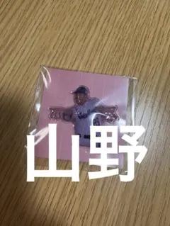 丸美グループタオルデコトラトラック野郎 - メルカリ