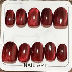 K10 マグネット ワンカラー ネイルチップ