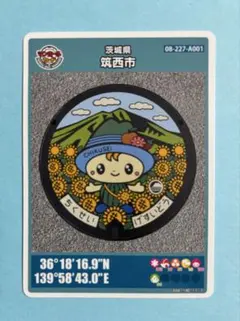 Item thumbnail for item 52914248-bbd2-4588-b361-382c74171653