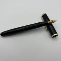 2026年最新】Pelikan 万年筆 14C-585の人気アイテム - メルカリ