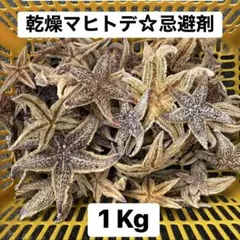 乾燥ヒトデ☆忌避剤 マヒトデ1 Kg# 猪　鹿　鳥　鳩　猿　害獣対策