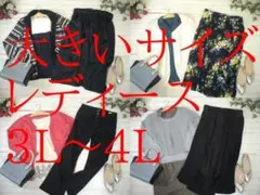 い*く様 26-5813 大きいサイズ！レディース服　まとめ売り　27着　3L/