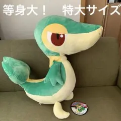 2026年最新】等身大 ツタージャの人気アイテム - メルカリ