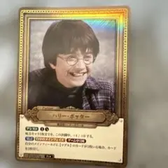 ハリーポッター カードゲーム Pt007a Pt☆ パラレル ハリポタTCG