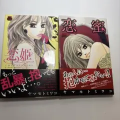 【中古】 ラブファイター/集英社/ヤマモトミワコ 2025年最新】ヤマモトミワコの人気アイテム - メルカリ