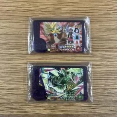 ポケモンフレンダ　ST ウガツホムラ、テツノイサハ2枚セット（おまけ付）