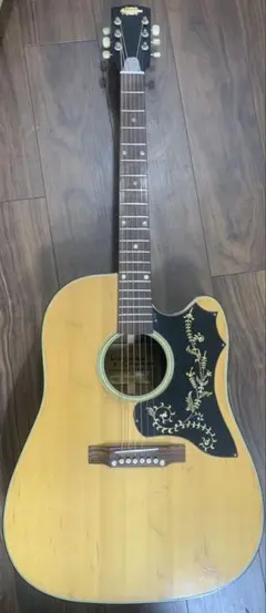 2026年最新】ジャンク アコースティックギターの人気アイテム - メルカリ