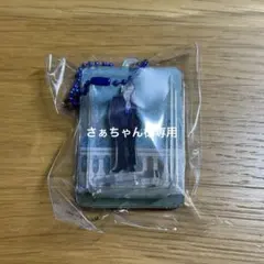 さぁちゃん様専用