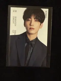 SEVENTEEN ウォヌ　トレカ　IDEALCUT