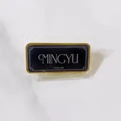 SEVENTEEN MUSEUM ミュージアム 2024 ミンギュ ピンバッジ