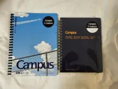 Item thumbnail for item 0b0884c9-8019-4818-a5b9-52d06c40c806