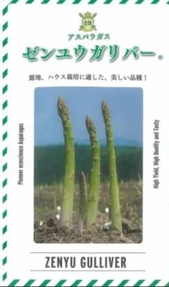 勝沼醸造 アルガブランカ イセハラ 2007 - メルカリ