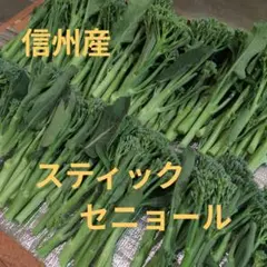 信州産　スティックセニョールのサムネイル