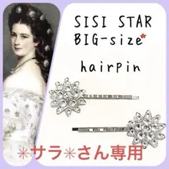 ✳︎サラ✳︎さん専用